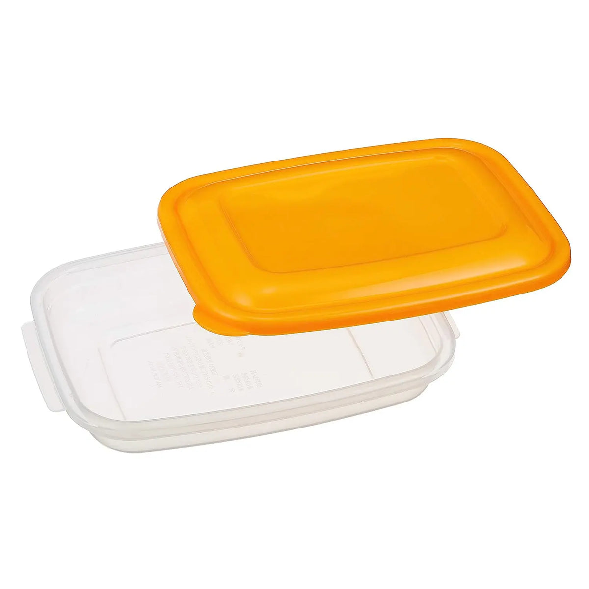 Products TAKEYA Polypropylene Flat Storage Container