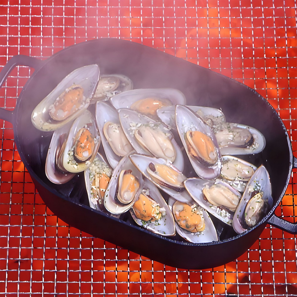 Iwachu Nambu Cast Iron Dutch Oven