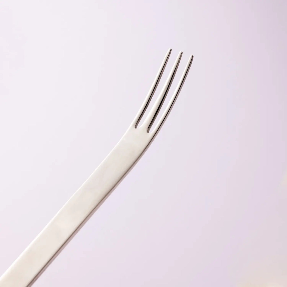 Tsubame Shinko TI-1 Dinner Fork 19.5cm