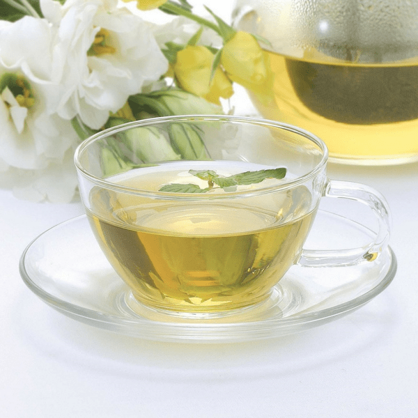 Hario Heat Resistant Glass Teacup &amp; Saucer 230ml Cups &amp; Saucers